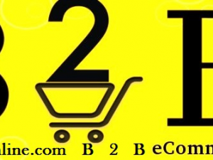 More About B 2 B     E commerce Shopping
